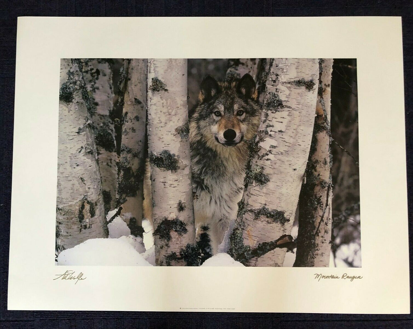 Mountain Ranger by Art Wolfe (Art Print, Animals, 81cm x 61cm)