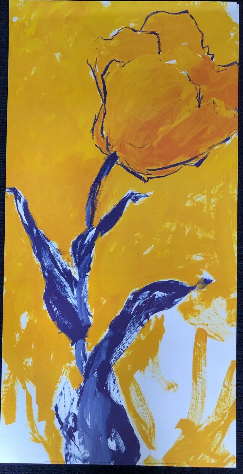 From the Source of Spring by Charles Belle (50cm x 100cm)