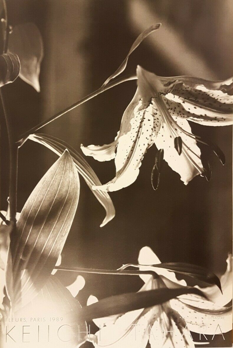 Fleurs, Paris 1989 by Keichii Tahara (Art Photography, 60cm x 90cm)