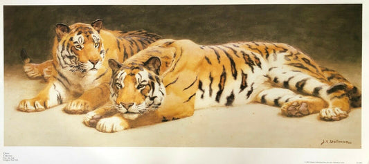 Untitled (Two Tigers) by J. Dollman (85cm x 41.5cm)