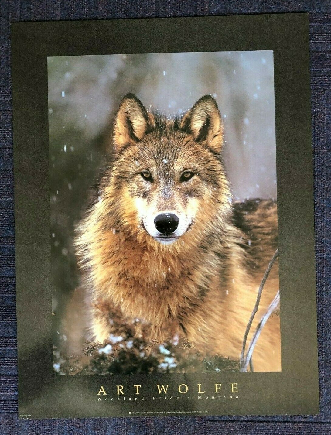 Woodland Pride by Art Wolfe (45.5cm x 61.5cm)