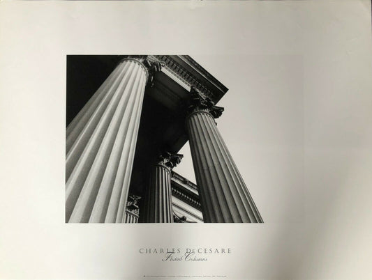 Fluted Columns by Charles de Cesare (61cm x 46cm)