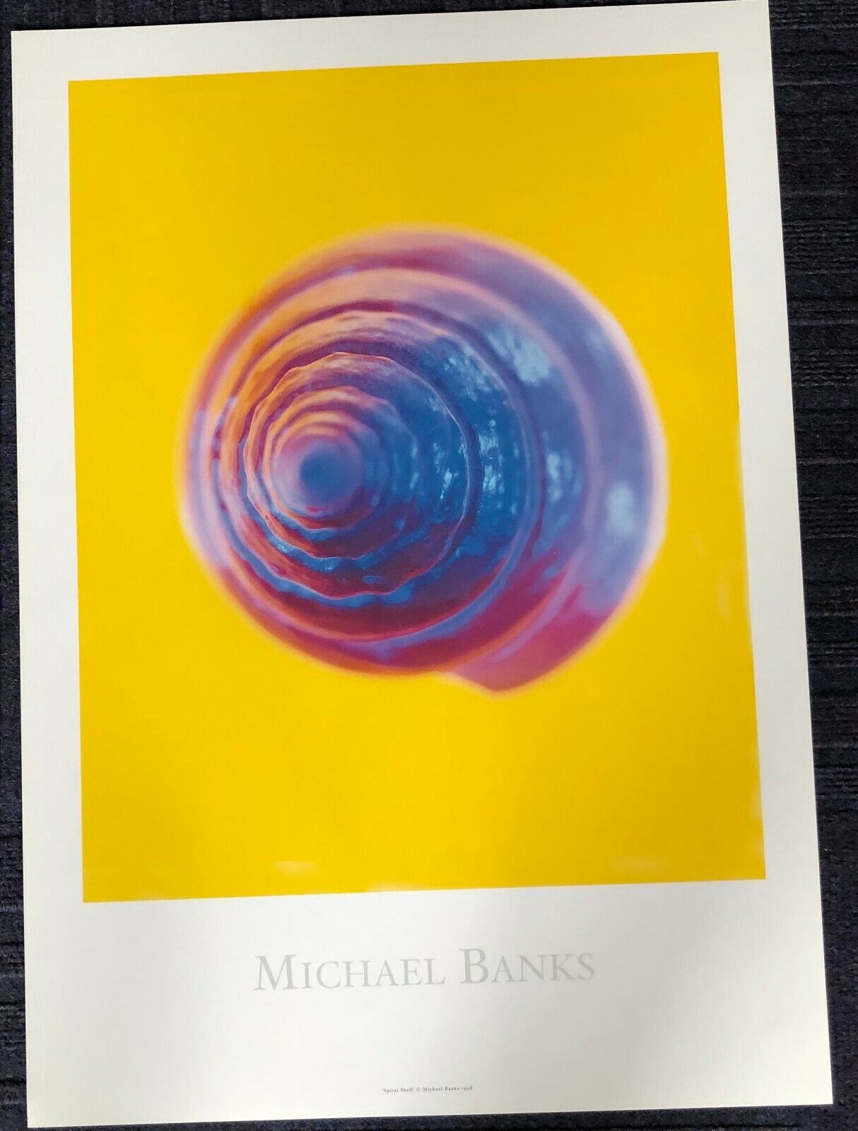 Spiral Shell by Michael Banks (42.5cm x 59.5cm)