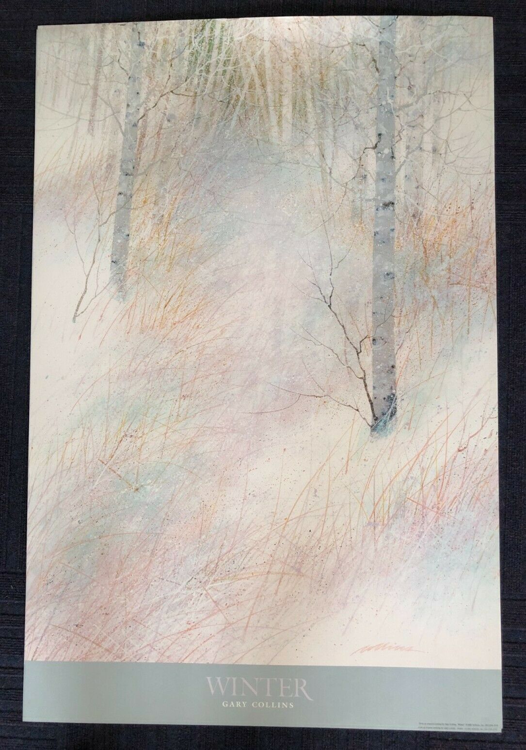 Winter by Gary Collins (64cm x 97cm)