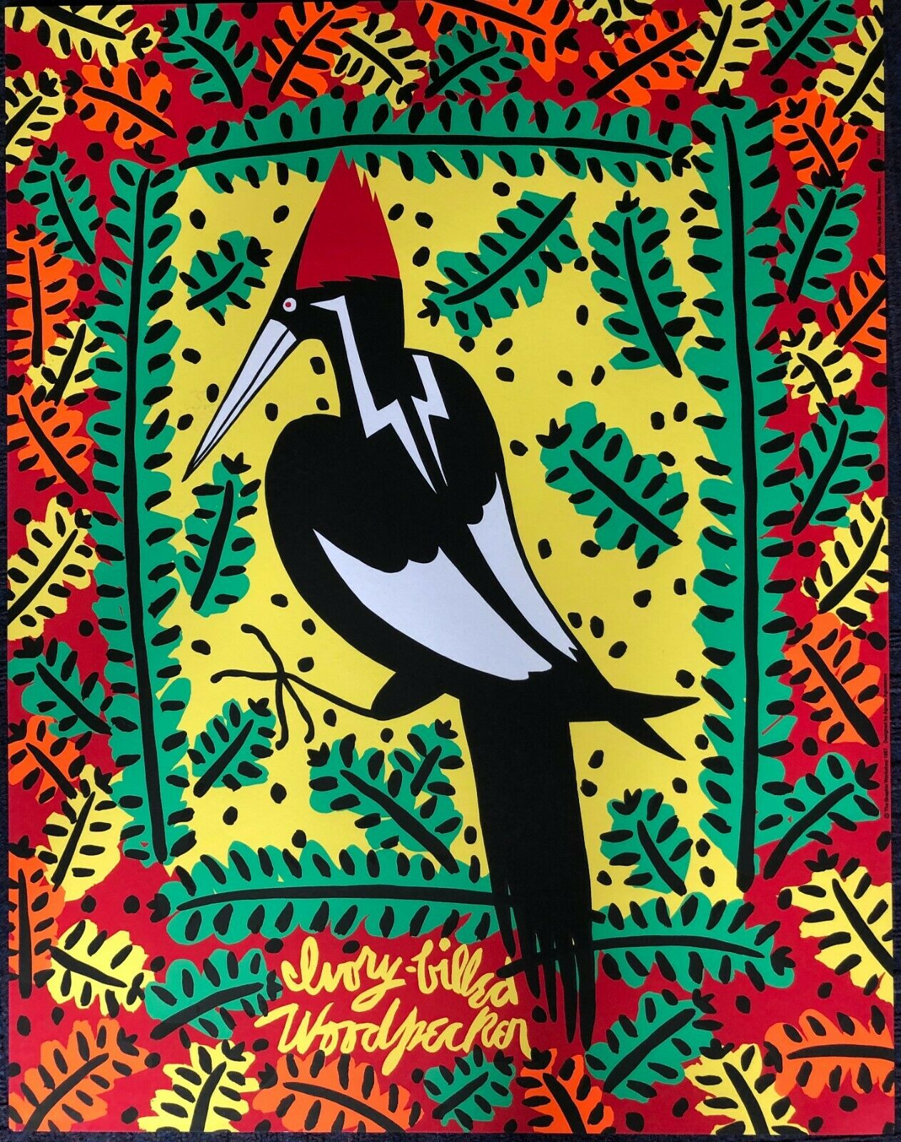 Ivory-Billed Woodpecker by Agusta Agustsson (60cm x 76cm)