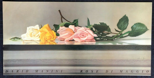 Rose di Maggio by Dario Manini (99.5cm x 50cm)