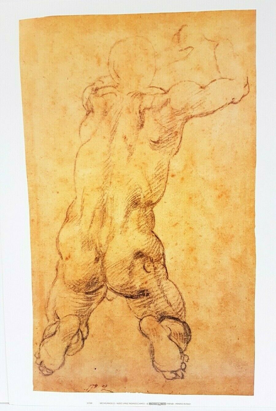 Nudo Virile Inginocchiato by Michelangelo (Classic Art Print, 35cm x 50cm)