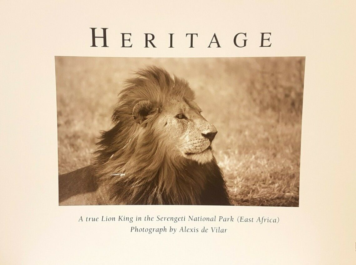 Heritage [Lion of East Africa] By Alexis de Vilar (Art Photography, 80cm x 60cm)