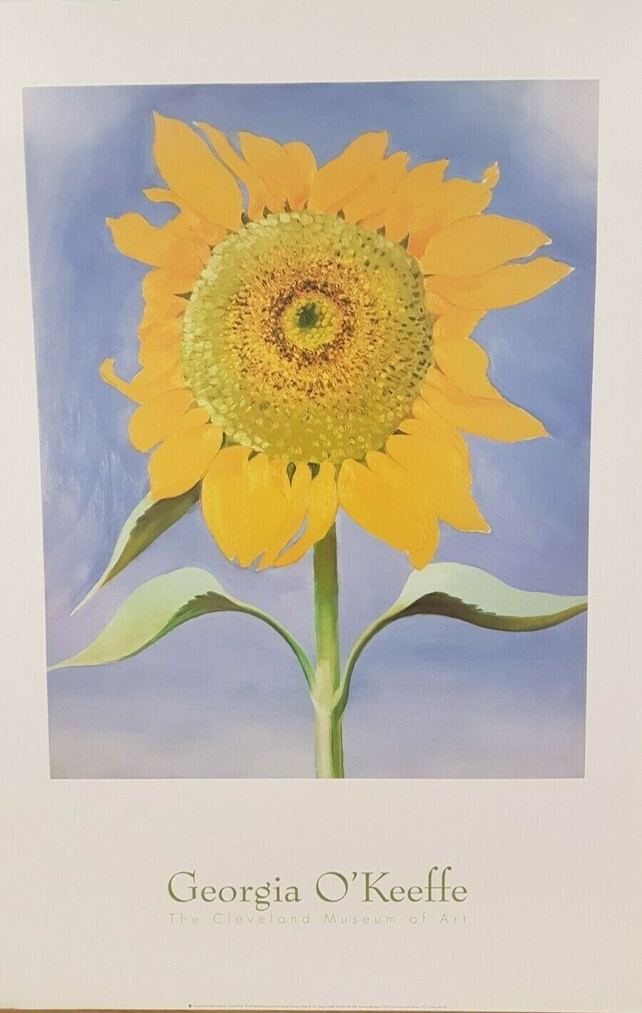 Sunflower by Georgia O'Keeffe (Museum Print, 61cm x 91.5cm)