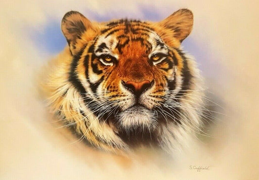 Tiger Tiger, Burning Bright by Stuart Coffield (Colour Art Print, 70cm x 50cm)