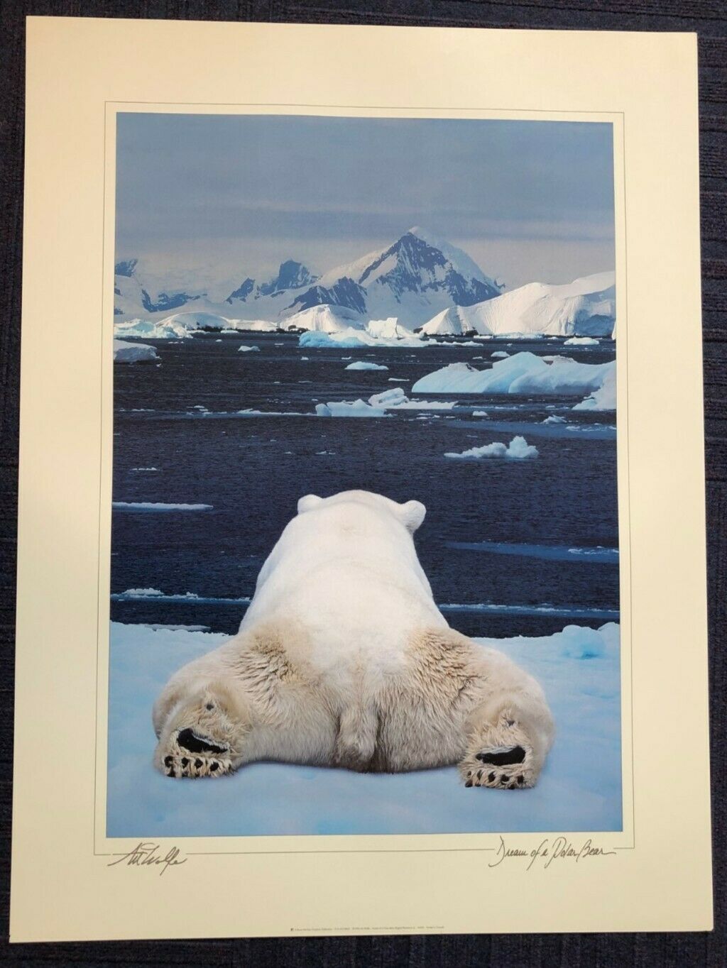 Dream of a Polar Bear by Art Wolfe (Art Colour Photography, 61cm x 81cm)