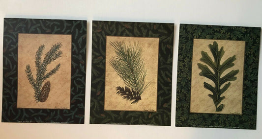 Set of 3: Blue Spruce, Oak Leaf & White Pine by Susan Clickner (28cm x 35.5cm)