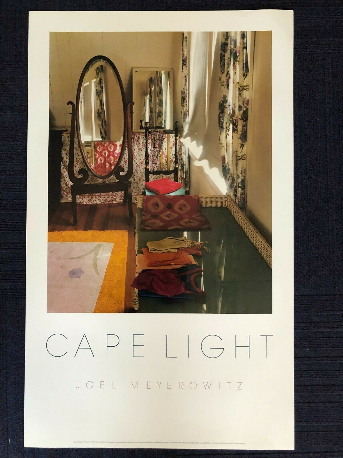 Cape Light by Joel Meyerowitz (Art Photography Print, 56cm x 92.5)