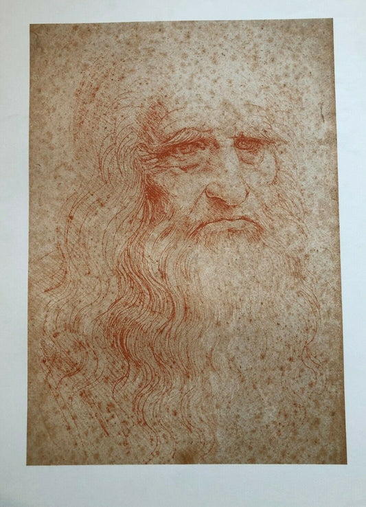 Laid Paper Print: Self Portrait by Leonardo Da Vinci (50cm x 69.5cm)