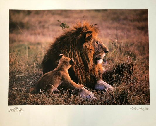 Father Knows Best by Art Wolfe (Signed Colour Photography, 76.5cm x 61cm)